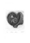 Embryo v děloze