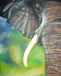 elephant II.
