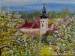 hořický kostelík v květu
